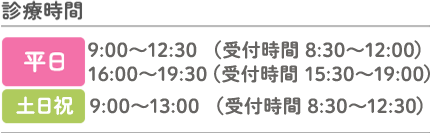 平日 9:00～12：30（受付時間：8:30～12:00）
				16:00～19:30（受付時間：15:30～19:00）、日曜 9:00～13:00（受付時間：8:30～12:30）休診日：土曜日午後、日曜日午後、祝日午後